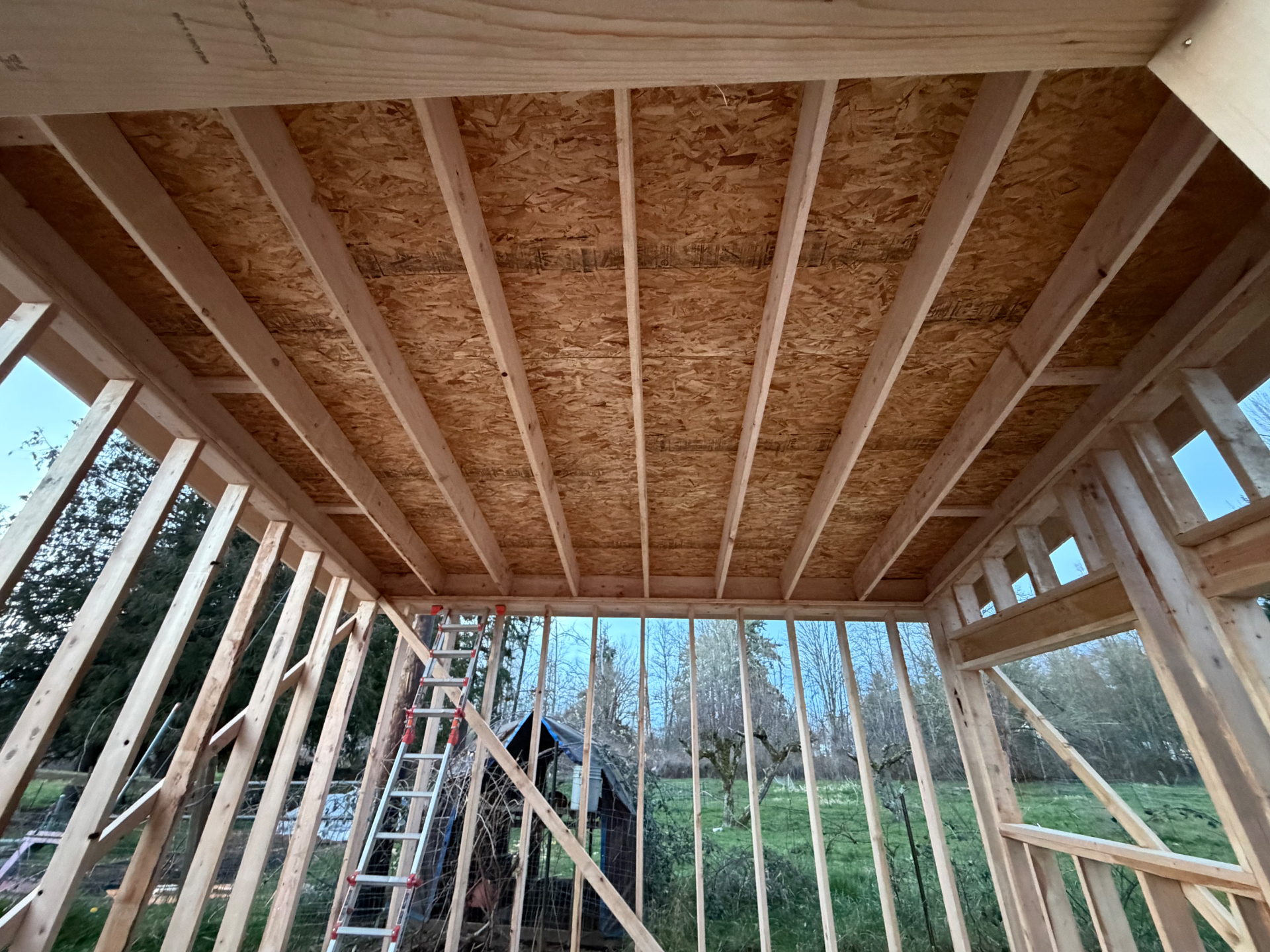 Outbuilding Frame to Sheathed Shell — photo 3 in King County, WA