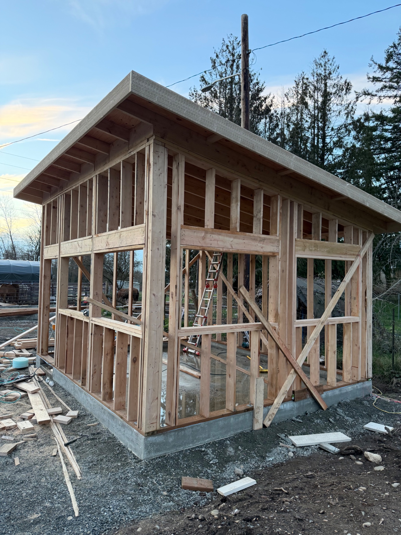Outbuilding Frame to Sheathed Shell — photo 2 in King County, WA