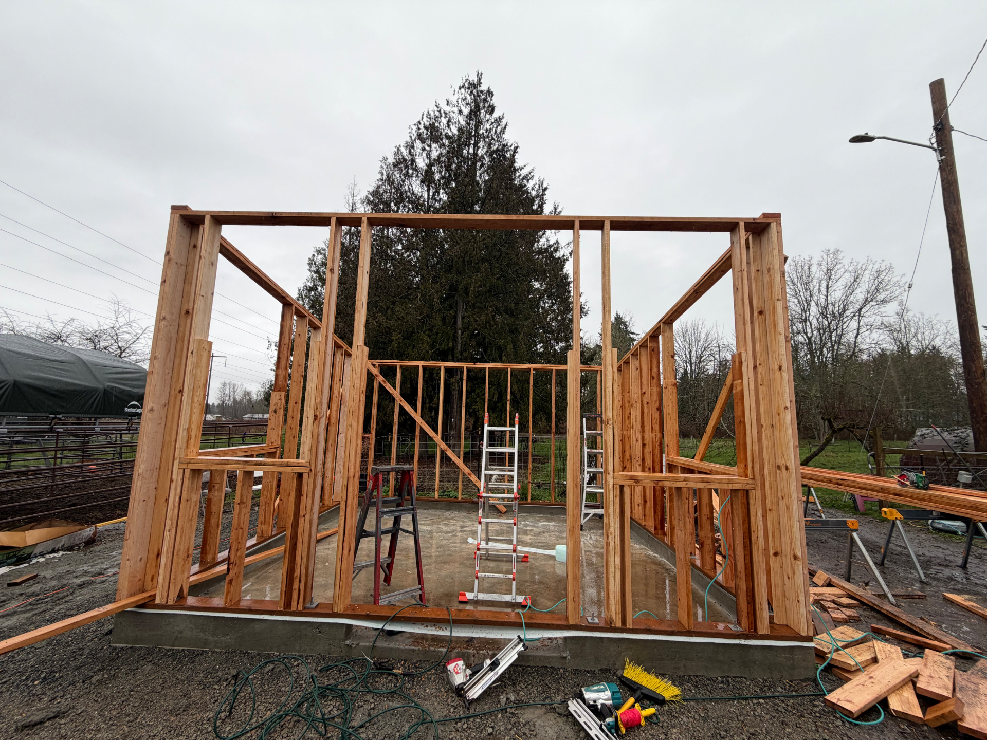 Outbuilding Frame to Sheathed Shell — photo 1 in King County, WA